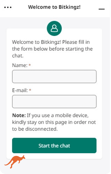 BitKingz Casino Live Chat Support