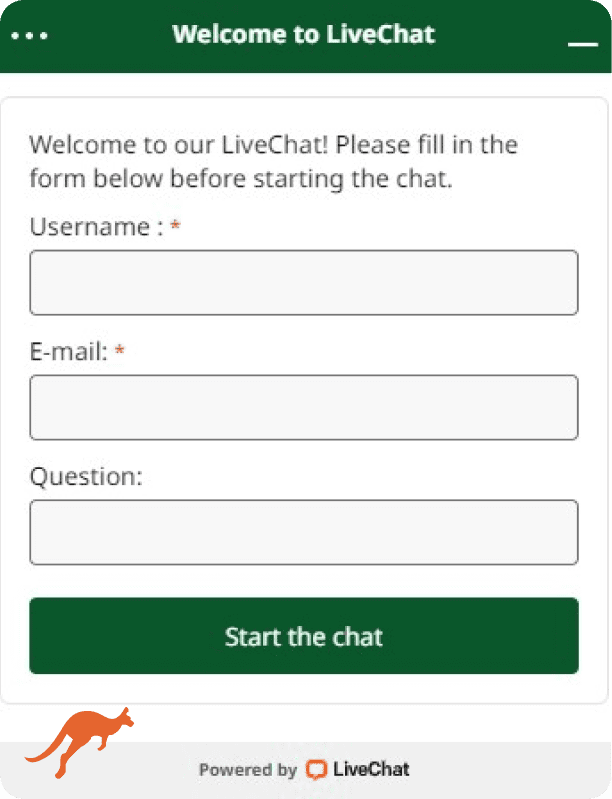 ReelsOfJoy Casino Live Chat Support