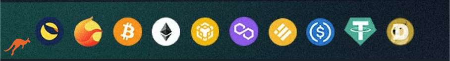 Terra Casino Payment Methods