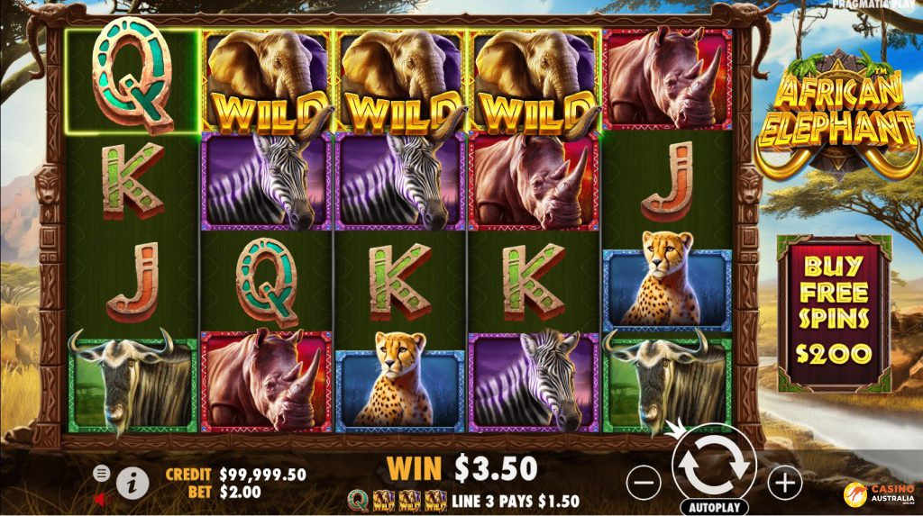 African Elephant Free Play Wins Australia Review